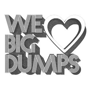 We Love Big Dumps Junk Bin Service Edmonton
