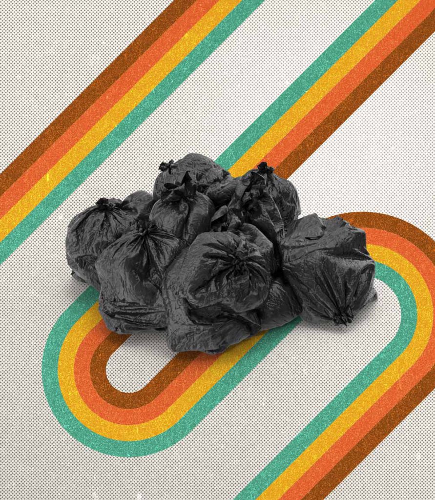 Junk Removal Rainbow Bags