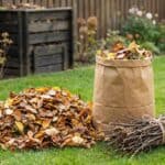 Bag of fallen autumn leaves with a pile and bundled twigs on a lush green lawn, ready for composting or yard cleanup.